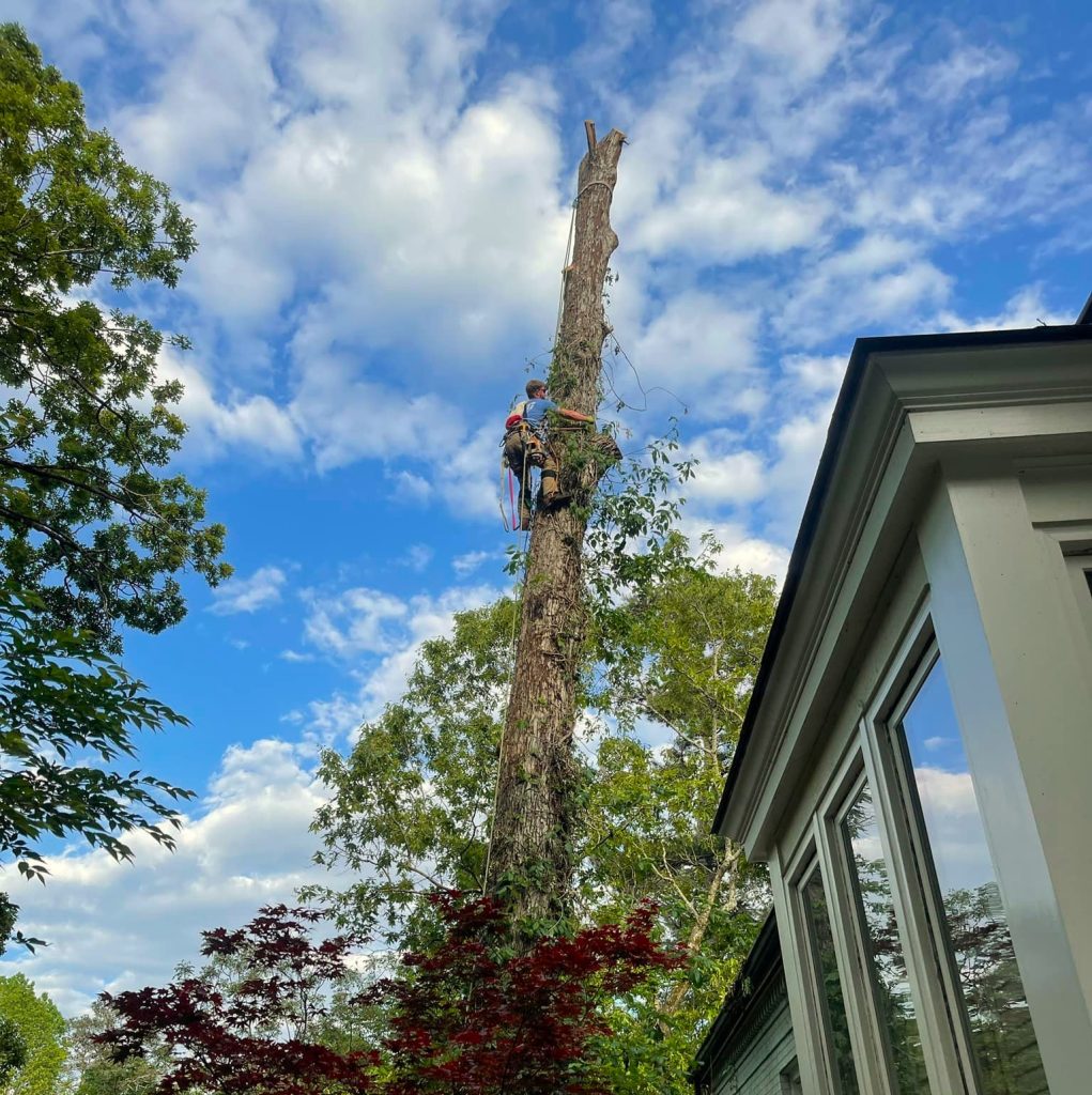 474740451 1639712786940675 938521411004928646 n