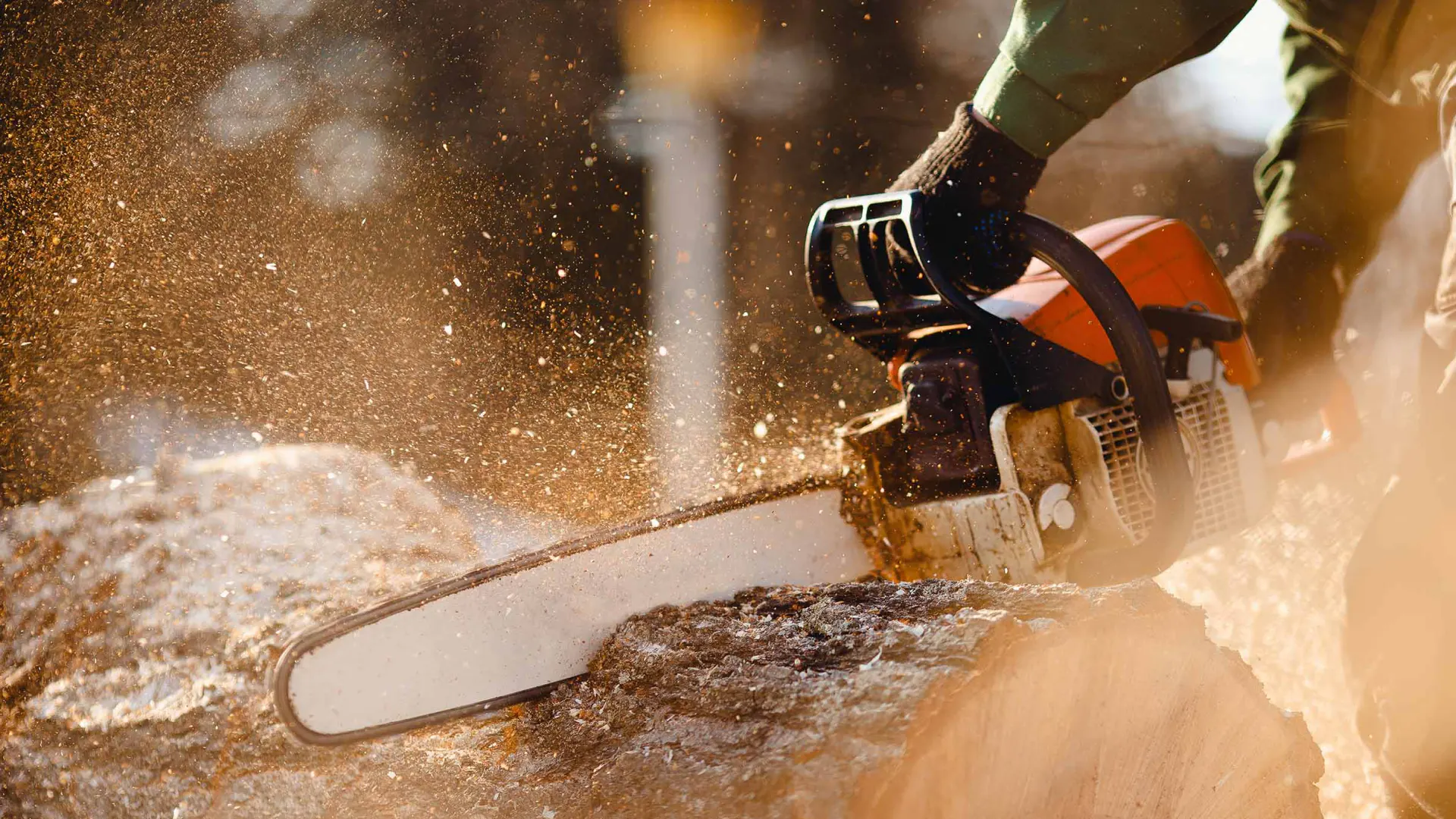 person chopping tree trunk with chainsaw